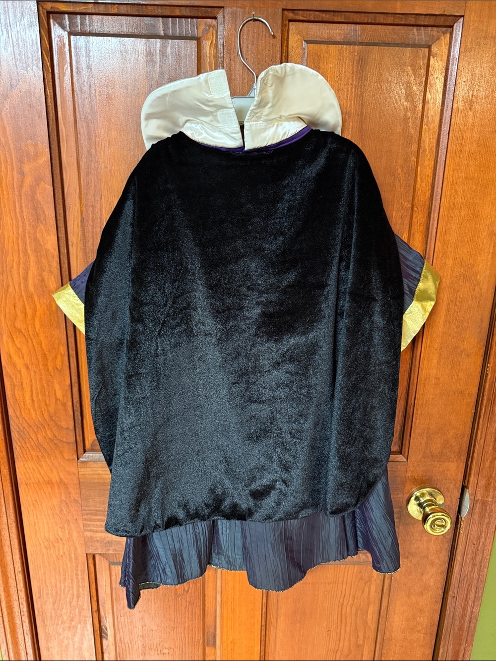 Disney Evil Queen Dress - Picture 2 of 4
